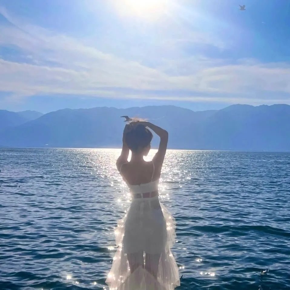 警探维斯廷第五季