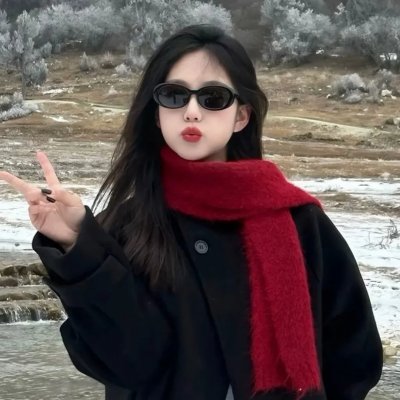 黑之契约者2：流星的双子